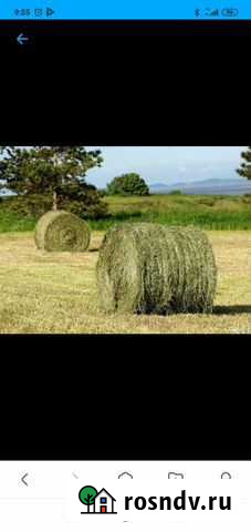 Сено в рулонах с доставкой Анжеро-Судженск - изображение 1