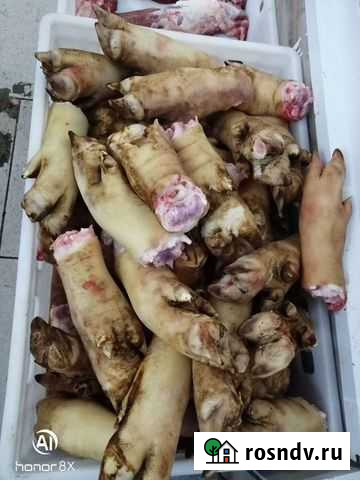 Ноги свиные(оптом) Ростов-на-Дону - изображение 1