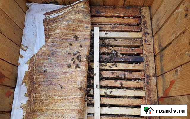 Прополисный холстик (положок) размер 50 см х 50 см Переславль-Залесский - изображение 1