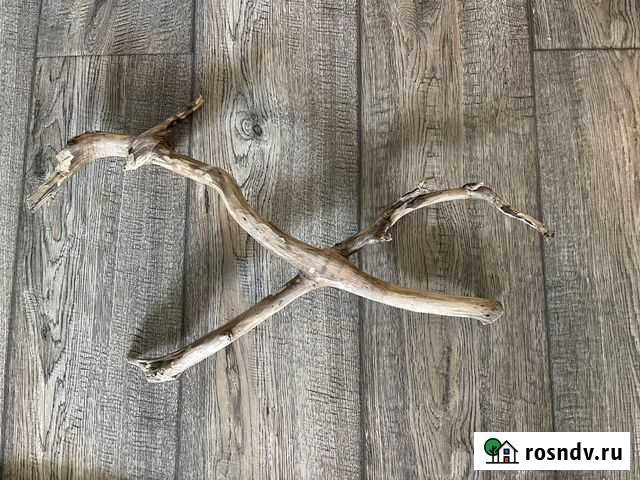 Коряга для аквариума Балашиха - изображение 1