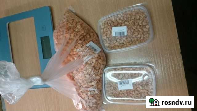 Гаммарус Екатеринбург - изображение 1