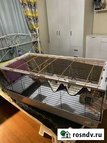 Клетка для грызунов большая Химки - изображение 1