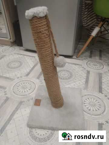 Когтеточка Новороссийск - изображение 1