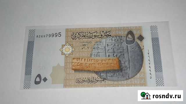 Сирия Благовещенск - изображение 1