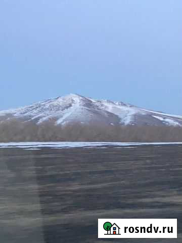 Мясо марала Алтайское - изображение 1