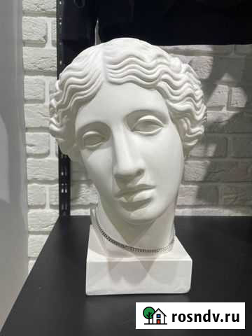 Бюст Петропавловск-Камчатский - изображение 1