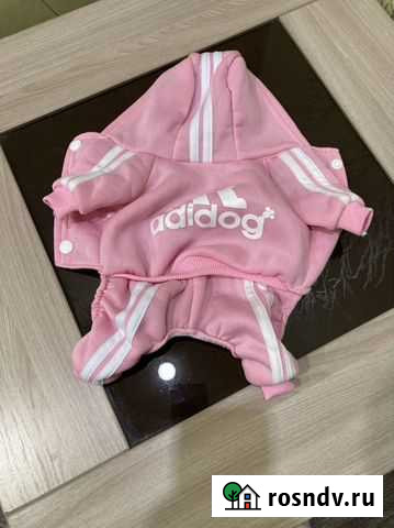 Одежда для маленьких собак Черногорск - изображение 1