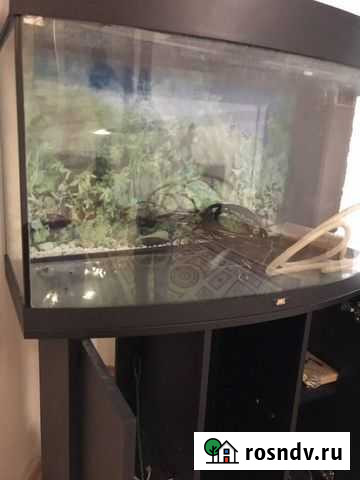 Аквариум с тумбой Красноярск - изображение 1