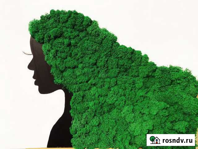 Картина «Златовласка» со стабилизированным мхом Белгород - изображение 1