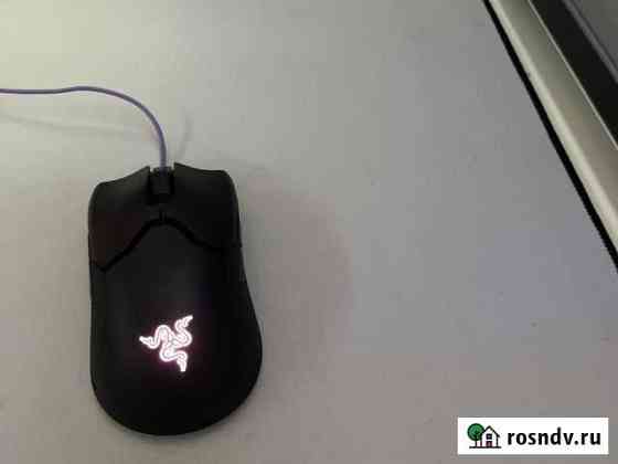Razer viper mini Череповец