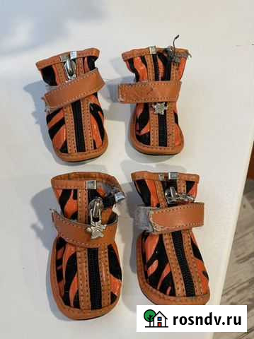 Обувь для собак Йошкар-Ола - изображение 1