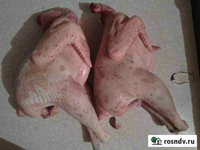 Мясо домашних курочек Ковров - изображение 1