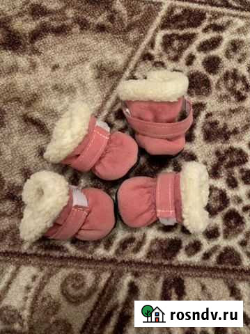 Ботинки для собак Тамбов - изображение 1