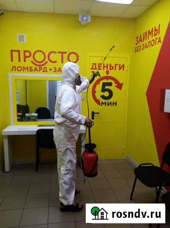 Уничтожение клопов, тараканов, блох Кемерово - изображение 1