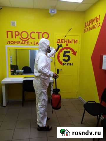 Уничтожение клопов, тараканов, блох Кемерово - изображение 1