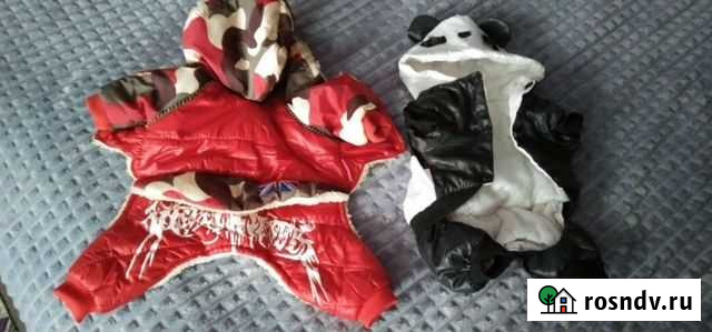 Комбинезон для маленькой собаки Ковров - изображение 1