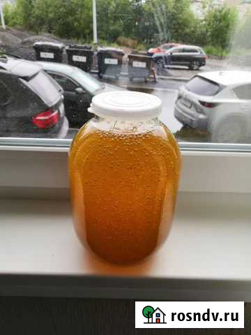 Свежий мед Мурманск - изображение 1