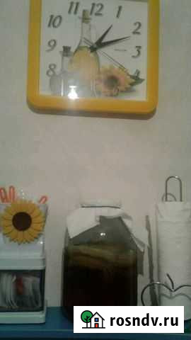 Чайный гриб Новокузнецк - изображение 1