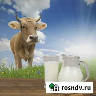 Прадаю домашнее коровье молоко, сметану, творог Тихорецк - изображение 1