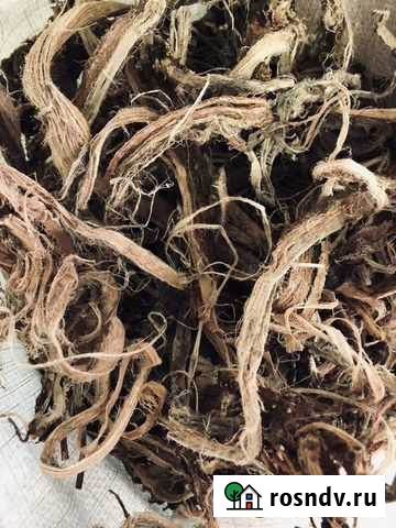 Красный корень Барнаул - изображение 1