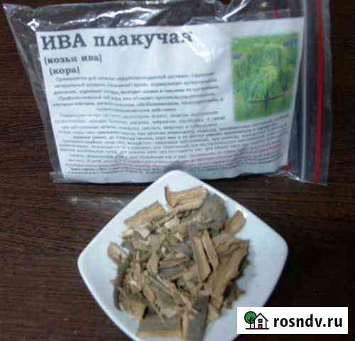 Ива плакучая (белая) (100гр.) Белгород