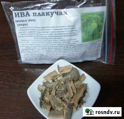 Ива плакучая (белая) (100гр.) Белгород - изображение 1