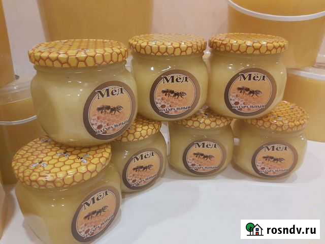 Мед натуральный Мурино - изображение 1