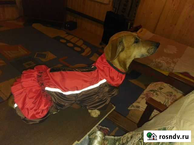 Товары для животных Знаменка - изображение 1