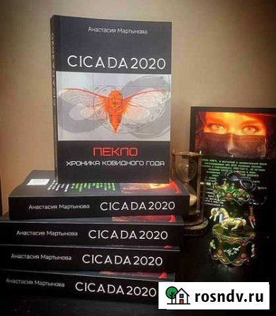 Первая книга об истории пандемии covid-19 Выборг - изображение 1