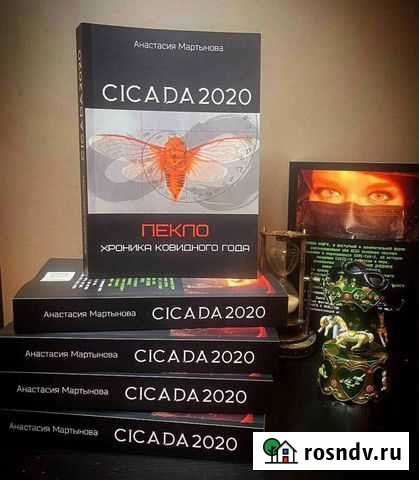 Первая книга об истории пандемии covid-19 Выборг - изображение 1