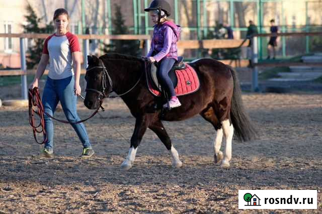 Пони шетл Волгоград - изображение 1