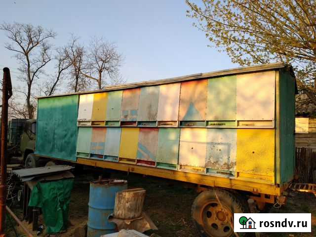 Пчелопавильон Семикаракорск - изображение 1