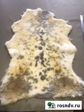 Ковер из шкуры овчины Горячий Ключ - изображение 1