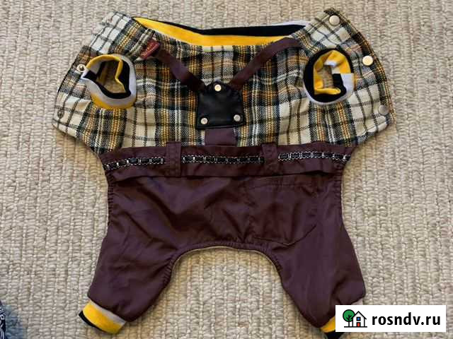 Одежда для собак Петропавловск-Камчатский - изображение 1