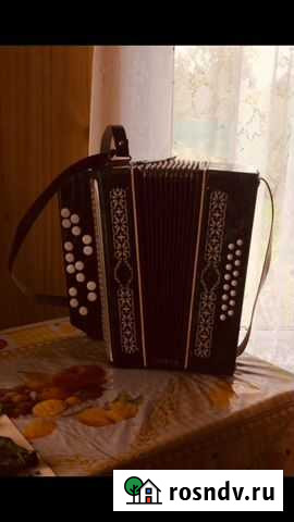 Баян Балашиха - изображение 1