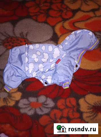 Комбинезон для маленькой собачки Миасс - изображение 1