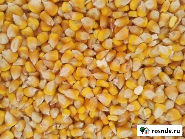 Кукуруза в мешках с доставкой на дом Гулькевичи - изображение 1