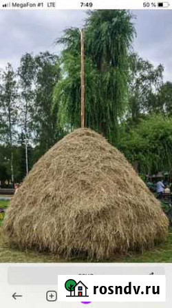 Продам сено Шаталово - изображение 1