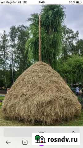 Продам сено Шаталово - изображение 1