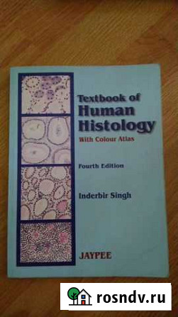 Human histology гистология Курск - изображение 1