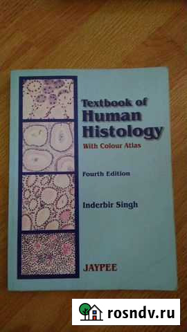 Human histology гистология Курск - изображение 1