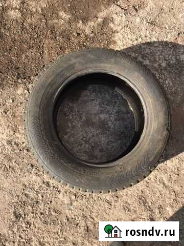 Продам шину Оренбург - изображение 1