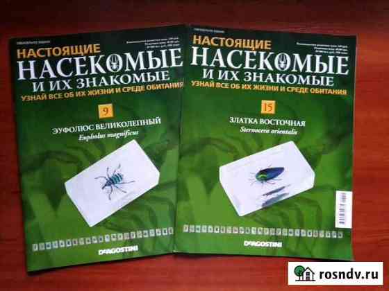 Насекомые и их знакомые, Дамы Эпохи Чебоксары