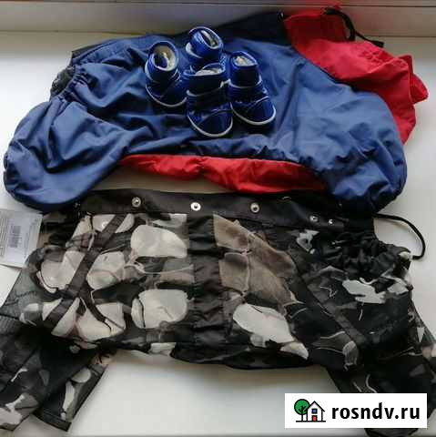 Амуниция для собаки Петрозаводск - изображение 1