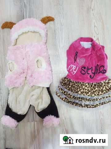 Костюмы для собаки средних пород Улан-Удэ - изображение 1