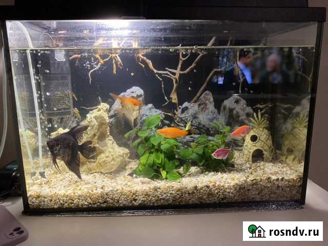 Аквариум Новокузнецк - изображение 1