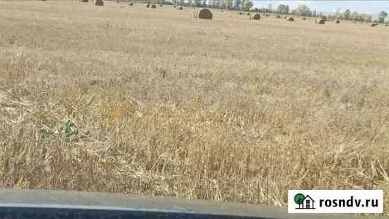 Солома в тюках Саяногорск