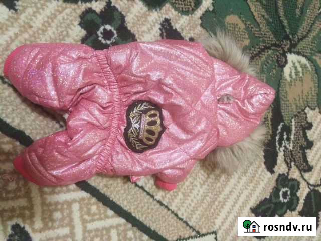 Одежда для йорка Ангарск - изображение 1