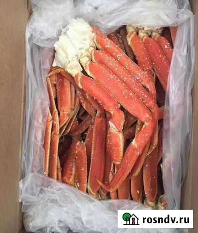 Клешни камчатского краба и стригуна Дмитров - изображение 1