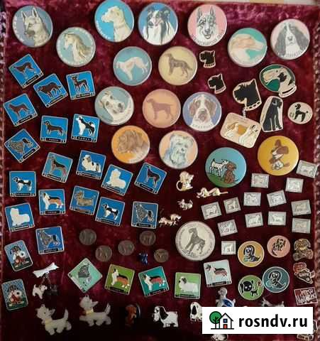 Значки Александров - изображение 1